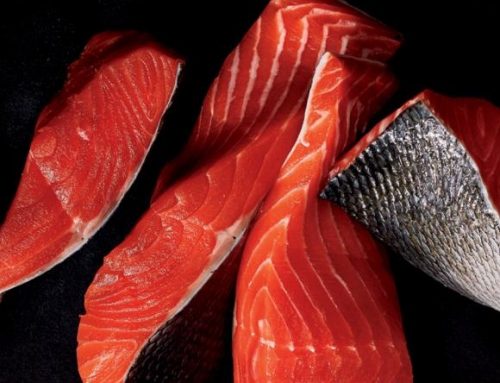 De 100 beste eiwitrijke producten